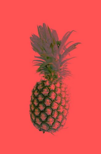 staff-ananas